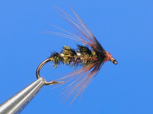 Brown-Hackle-