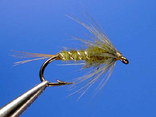 Medium-Olive-Nymph-